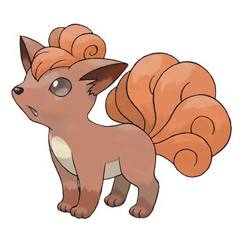 Vorlage: orangefarbenes Vulpix-Artwork auf weißem Hintergrund